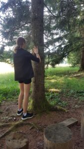 Baumgesichter Kurs